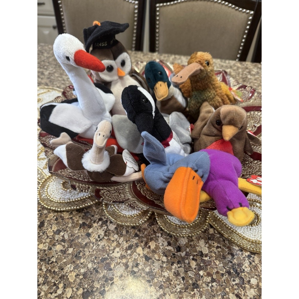 Ty Beanie Baby Vintage Birds Lot of 9 Original tags Retired 3 Teenies And 6 Reg